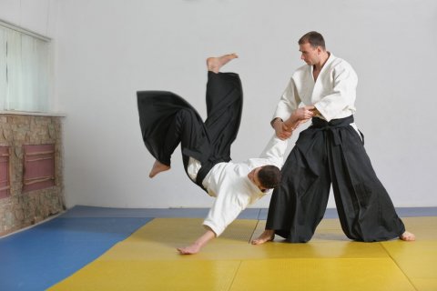 Foto: Novoselov / shutterstock Zwei Männer führen eine Aikido-Übung durch, bei der der eine den anderen auf die Matte schleudert. Einer von beiden befindet sich gerade im Sturz, die linke Hand bereits am Boden, die Füße noch in der Luft, während der andere ihn am linken Arm festhält. Sie tragen weite schwarze Hosen, weiße Kampfsportjacken und sind barfuß.