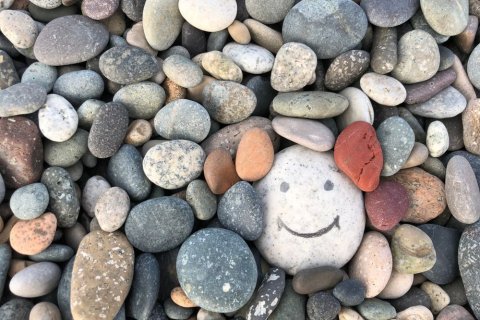 Foto: Skoles / shutterstock Ein Ansammlung von Kieselsteinen, unter denen ein größerer weißer Stein ein aufgemaltes Smiley-Gesicht trägt