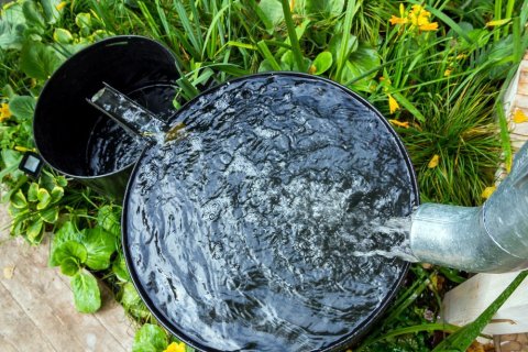 Foto: VPales / shutterstock Aus einer Regenrinne fließt Wasser in einen großen und von dort in einen kleineren Metallbottich, die beide auf einer Wiese stehen.
