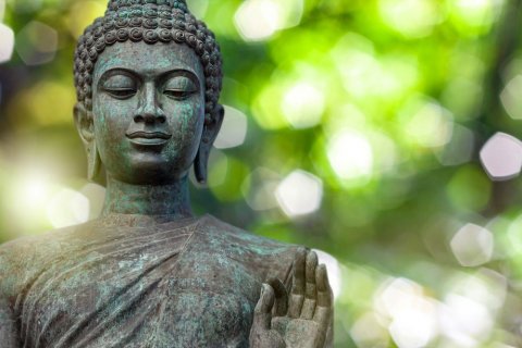 Foto: Sombat Muycheen/shutterstock Foto: Sombat Muycheen/shutterstock
