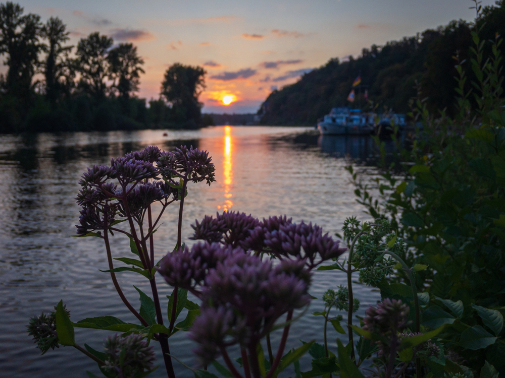 Mülheimer Ruhrauen (c Shutterstock)
