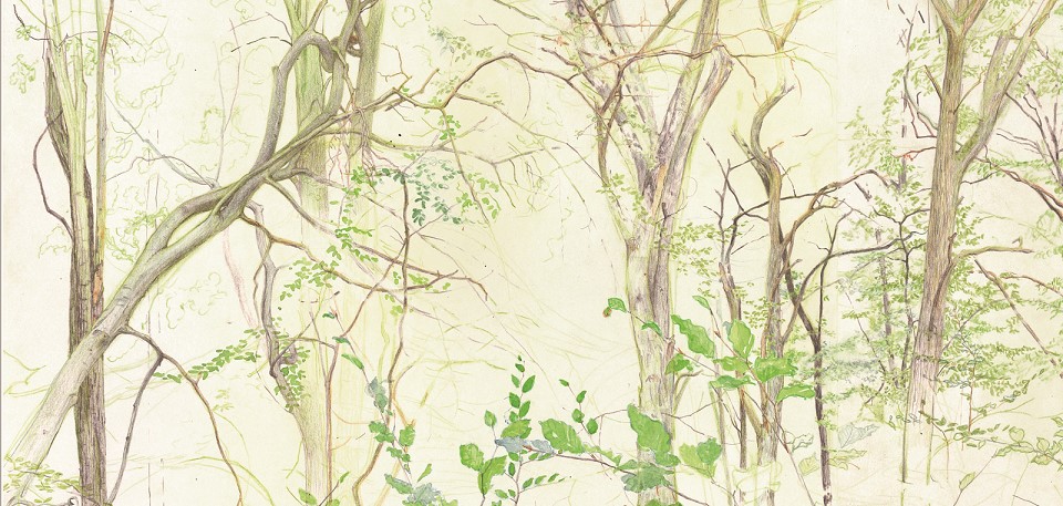 M. Draese, Panorama, 2018 (Zeichnung)