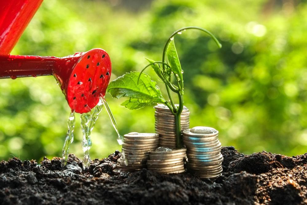 Foto: shutterstock
