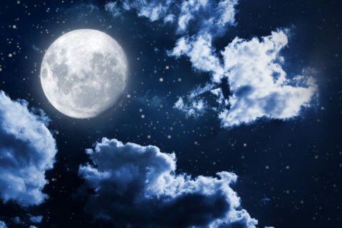 Foto: Canva/Ivantsov