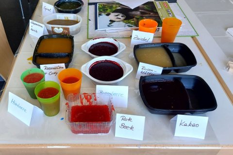 Pflanzenfarben (c) Sabine Mocek