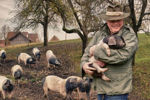 Mann mit gr&uuml;nem Anorak und braunem Filzhut h&auml;lt l&auml;chelnd ein schwarz-wei&szlig;es Ferkel im Arm. Links dahinter bewegt sich eine Gruppe von etwa zw&ouml;lf schwarz-wei&szlig;en Schweinen auf einem schlammigen Hang. Kahle B&auml;ume, rote Holzscheunen, bew&ouml;lkter Herbsthimmel.