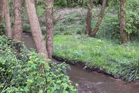 Bach im Ruhrgebiet; Foto: Mastiaux